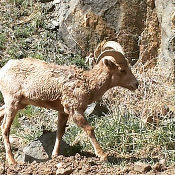 Waterton Canyon - Hiking Near Me - Littleton, Colorado Waterton Canyon - Hiking Near Me - Littleton, Colorado