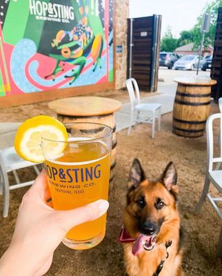 Hop and Sting Brewing Company by null