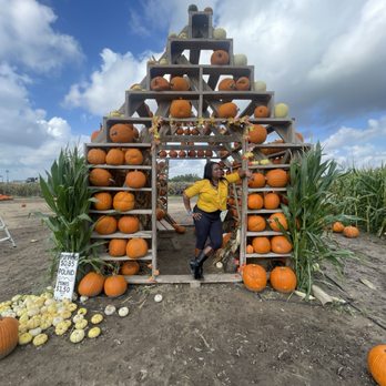 Sweet Eats Adventure Farm - Attraction Farms Near Me - Georgetown, Texas