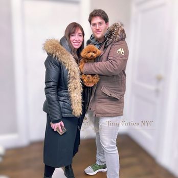Tiny Cuties NYC - Pet Breeders Near Me - City, New York Tiny Cuties NYC - Pet Breeders Near Me - City, New York