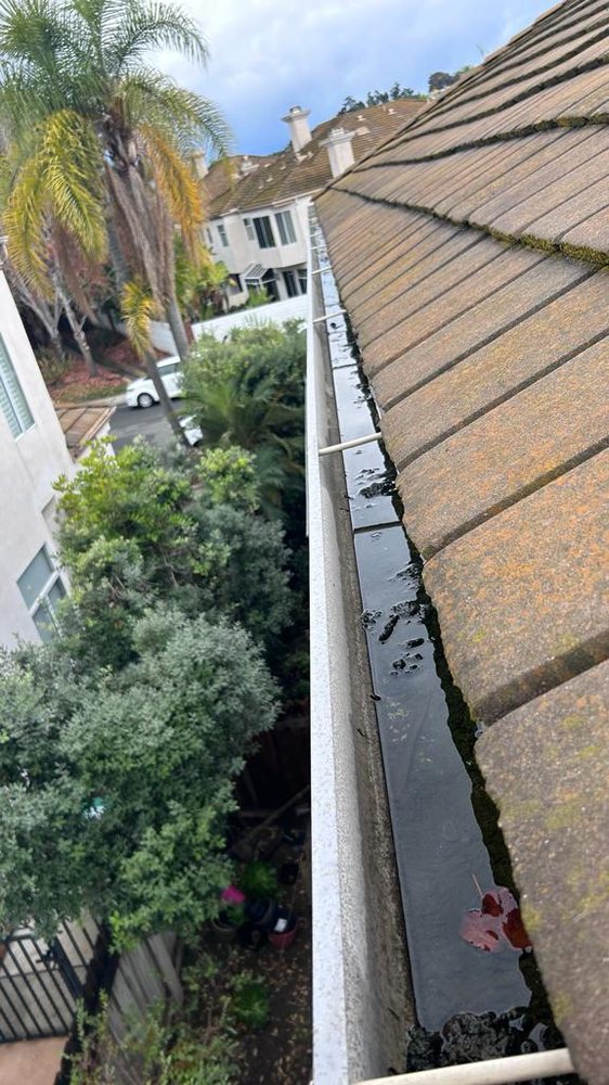 Slide of Spotless Roof