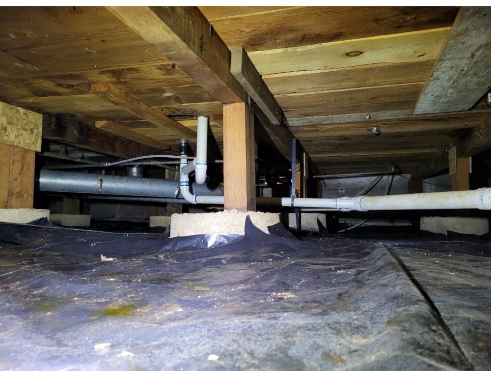 Slide of Wolf Pack Plumbing