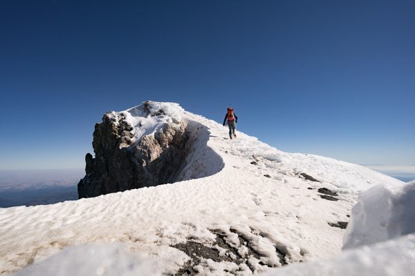 Mt Hood by null