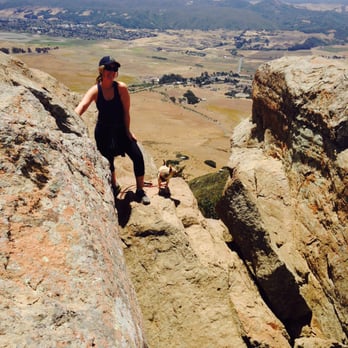 Bishop Peak - Look closely.  See the chihuahua (mix)?  We were both surprised she made it up to the top.  If she can, you can. - Hiking Near Me - San Luis Obispo, California