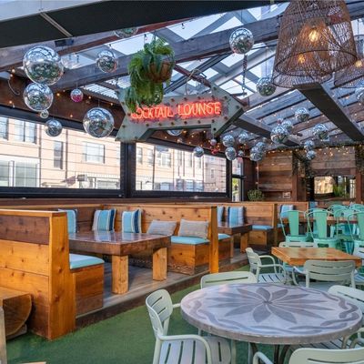 Paradise Park | Pizza & Patio by null