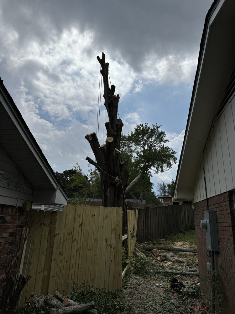 Knights Lawn & Landscaping - tree service in Jackson, MS