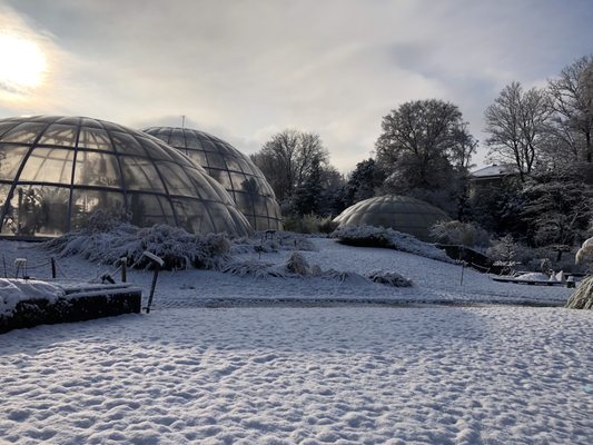 Botanical Garden by null