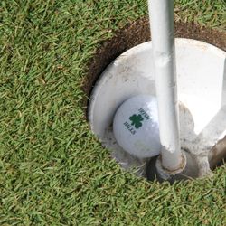 Irish Hills Golf & Country Club - Get out and golf!  Irish Hills has indoor and outdoor golf.  Golf all year round!