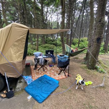 Tillicum Beach Campground - Camped out of our car - Campgrounds Near Me - Yachats, Oregon Tillicum Beach Campground - Camped out of our car - Campgrounds Near Me - Yachats, Oregon