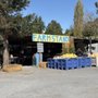 Photo of Worker Bee Farm