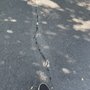 Photo of CDM Asphalt