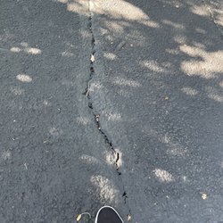 CDM Asphalt - Example of a "filled crack and heavy slurry."