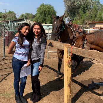Western Trails Horseback Riding - Horseback Riding Near Me - Kalispell, Montana Western Trails Horseback Riding - Horseback Riding Near Me - Kalispell, Montana