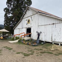 Luz Del Valle - Barn
