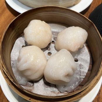 Village Tea House - Shrimp Dumpling - Noodles Near Me - San Francisco, California Village Tea House - Shrimp Dumpling - Noodles Near Me - San Francisco, California