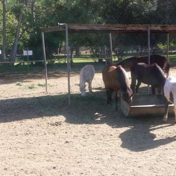 Irvine Regional Park - Ride a real pony. - Parks Near Me - Orange, California Irvine Regional Park - Ride a real pony. - Parks Near Me - Orange, California