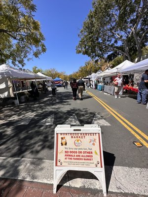 Montrose Farmers Market by null