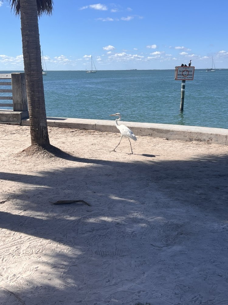 Stiltsville Image
