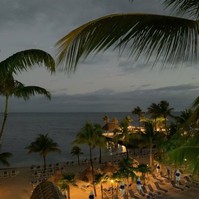 Reefhouse Resort & Marina by null