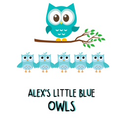 Alex's Little Blue Owls Daycare