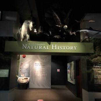 Royal British Columbia Museum - Museums Near Me - Victoria, British Columbia Royal British Columbia Museum - Museums Near Me - Victoria, British Columbia