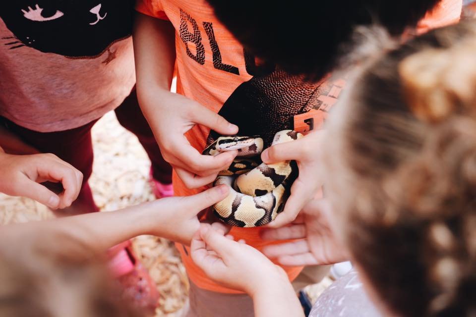Rainbow Children's Center - childcare center in Rancho Cucamonga, CA