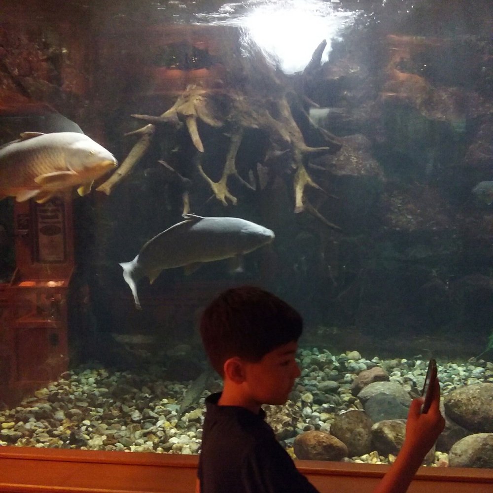 Cabela's - Outdoor Gear Near Me - Dundee, Michigan
