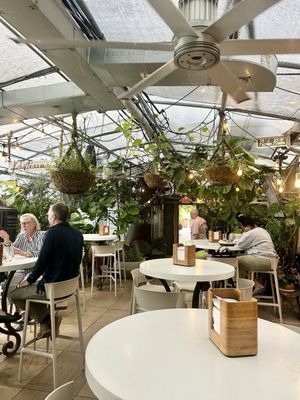 Greenhouse Bar by null