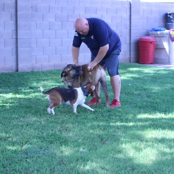 Bark Busters Home Dog Training Phoenix - Pet Training Near Me Bark Busters Home Dog Training Phoenix - Pet Training Near Me