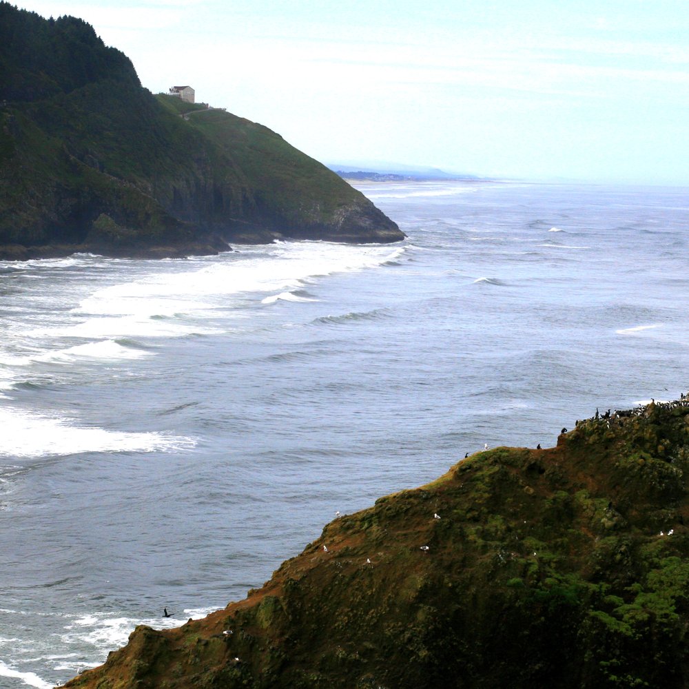 Heceta Head Lighthouse - Lighthouse path view, looking South. - Landmarks & Historical Buildings Near Me - Florence, Oregon Heceta Head Lighthouse - Lighthouse path view, looking South. - Landmarks & Historical Buildings Near Me - Florence, Oregon