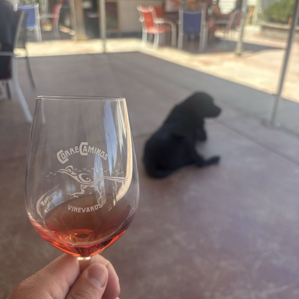 Correcaminos Vineyard - Wineries Near Me - Ramona, California Correcaminos Vineyard - Wineries Near Me - Ramona, California