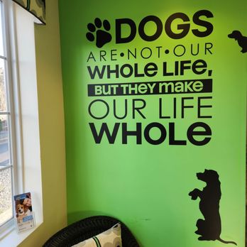 Berkeley Veterinary Center - Vibrant interior - Veterinarians Near Me - Berkeley Township, New Jersey Berkeley Veterinary Center - Vibrant interior - Veterinarians Near Me - Berkeley Township, New Jersey
