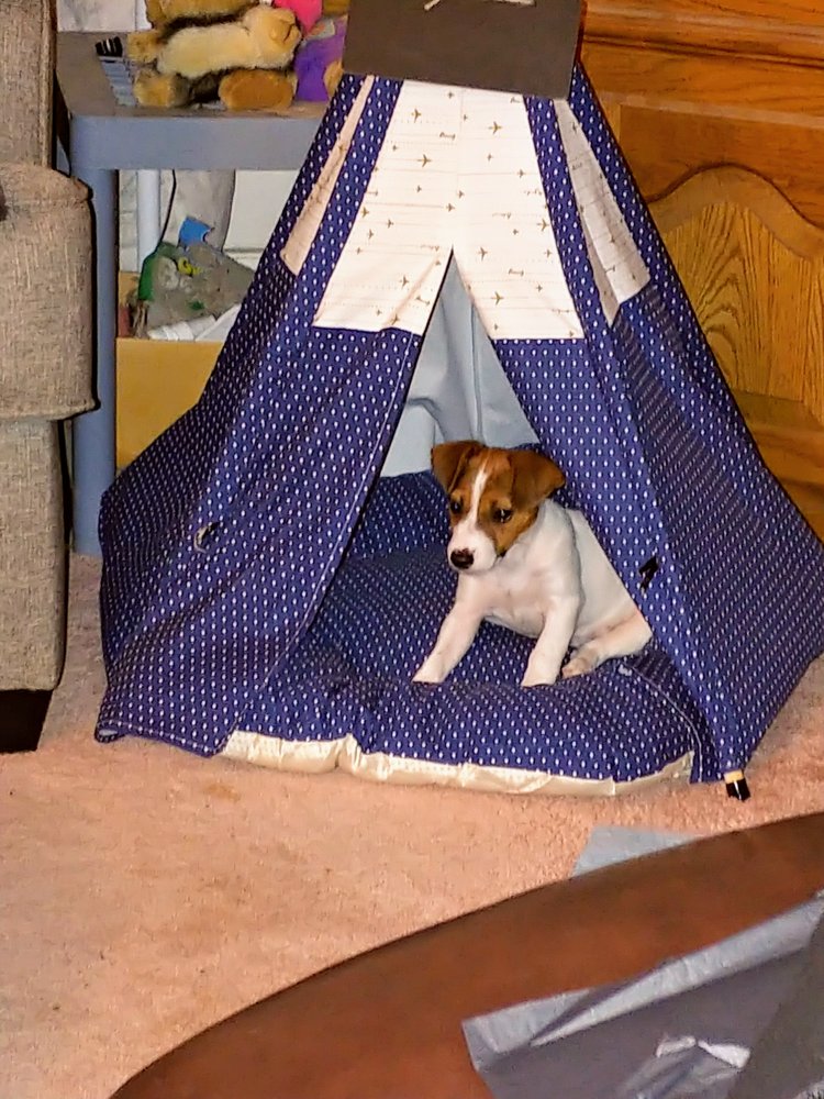 SEAFORD ANIMAL HOSPITAL Updated April 2024 12 Photos 22661