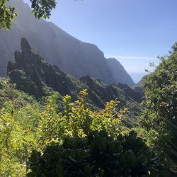 El Guanche