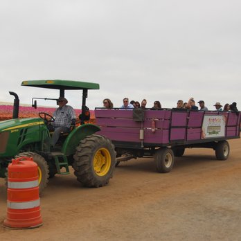 The Flower Fields - Venues & Event Spaces Near Me - Carlsbad, California The Flower Fields - Venues & Event Spaces Near Me - Carlsbad, California