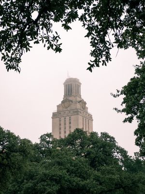 UT Tower by null