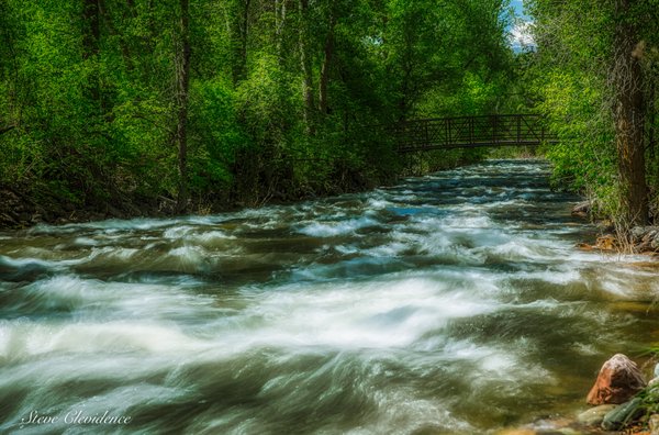 Greenough Park by null