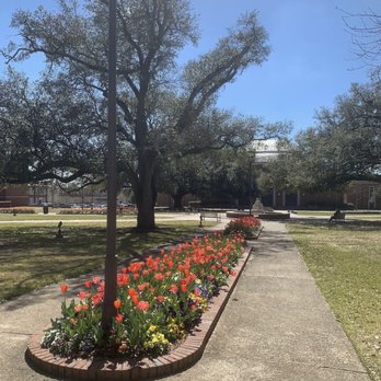 Louisiana Tech University - Colleges & Universities Near Me - Ruston, Louisiana