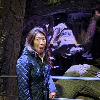 Warner Bros Studio Tour London - Tours Near Me - Leavesden, HRT Warner Bros Studio Tour London - Tours Near Me - Leavesden, HRT
