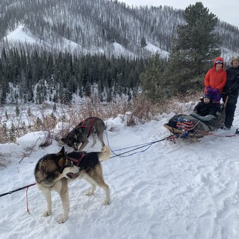 Jackson Hole Iditarod Sled Dog Tours - Tours Near Me - Jackson, Wyoming