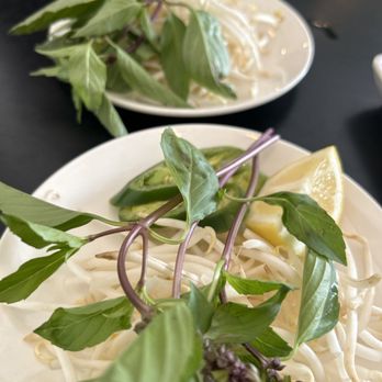 Pho Anvi - Freshness - Vietnamese Near Me - Norwalk, California