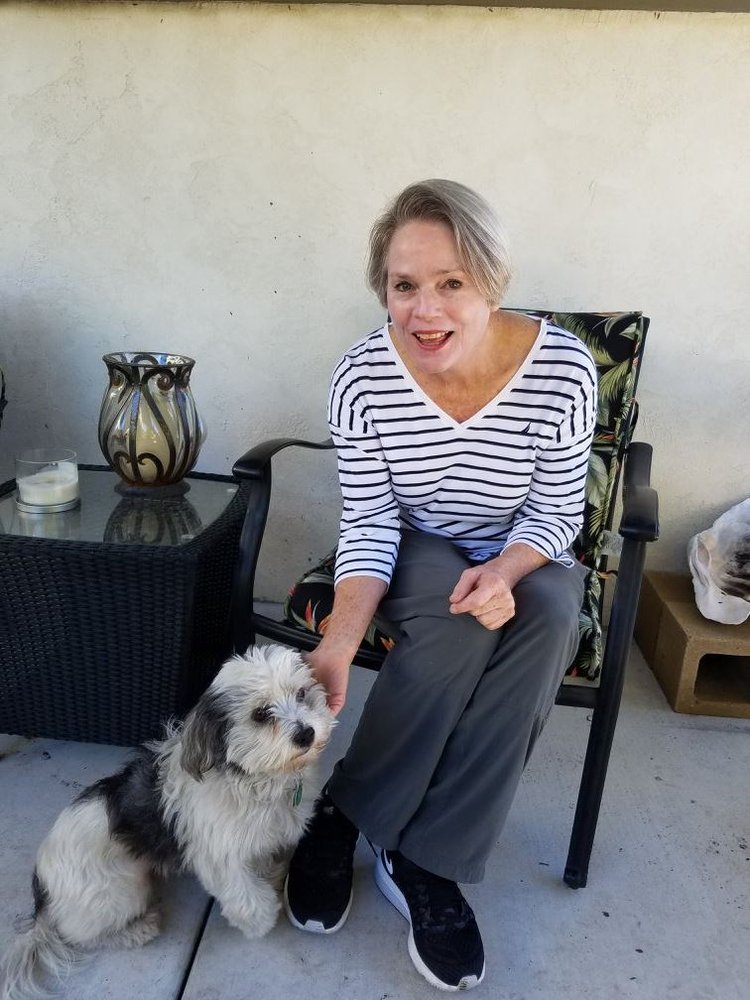 Nado Pet Care - pet boarding facility in Coronado, CA