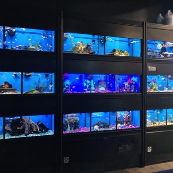 We Lov Pets - Pet Stores Near Me - Zanesville, Ohio