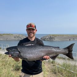Tackle Shack - Kings
