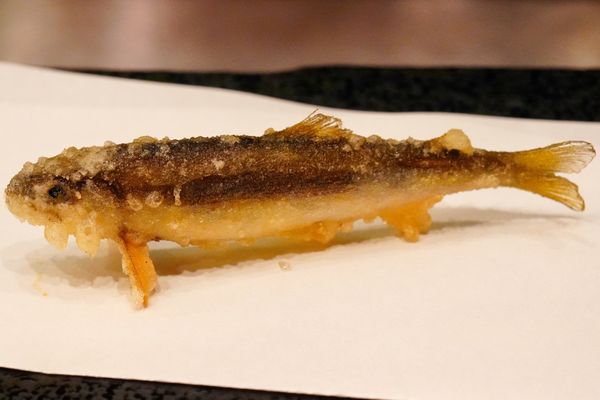 Tempura Endo by null