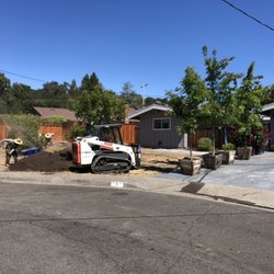 PlanTerra Landscapes - Tree day. Planting a few 36 inch box trees is a cinch with a skid steer.
