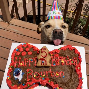 Biscotti Hound Dog Biscuit Bakery - Birthday cake - Pet Stores Near Me - Denver, Colorado