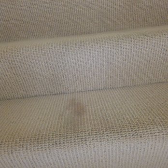 Tiger Cleaning Services - Home Cleaning Near Me Tiger Cleaning Services - Home Cleaning Near Me