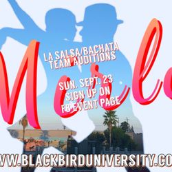 Blackbird Dance - #salsadance #bachatadance #latinmusic #losangelesdance #teamauditions #auditions #blackbirdmagic #mirlo #subscribe to website for info