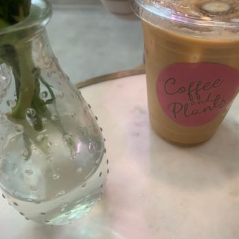 Coffee and Plants - Americano - Coffee & Tea Near Me - Pasadena, California